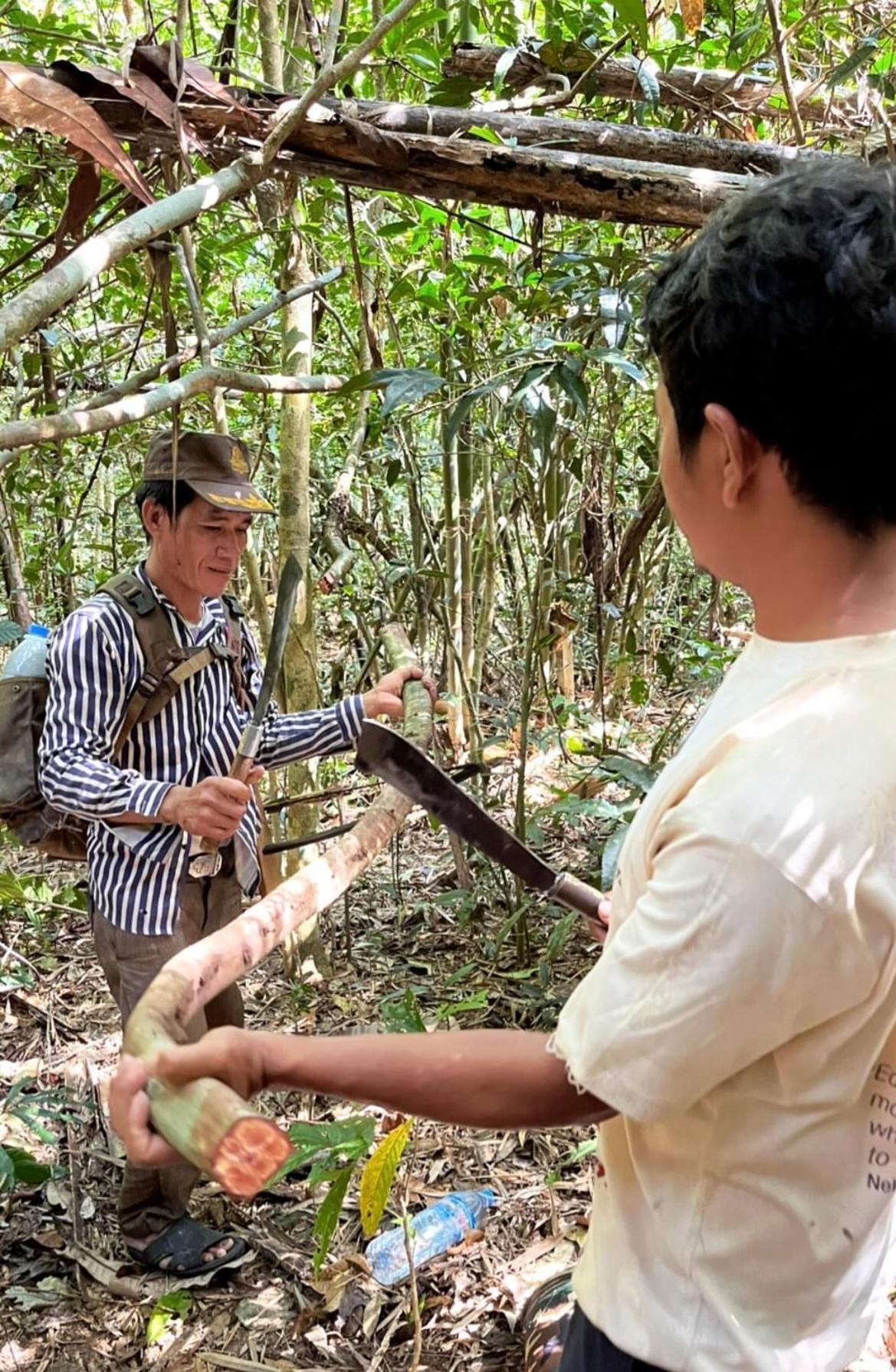 Ratanakiri Farmhouse & Trekking バンラング エクステリア 写真