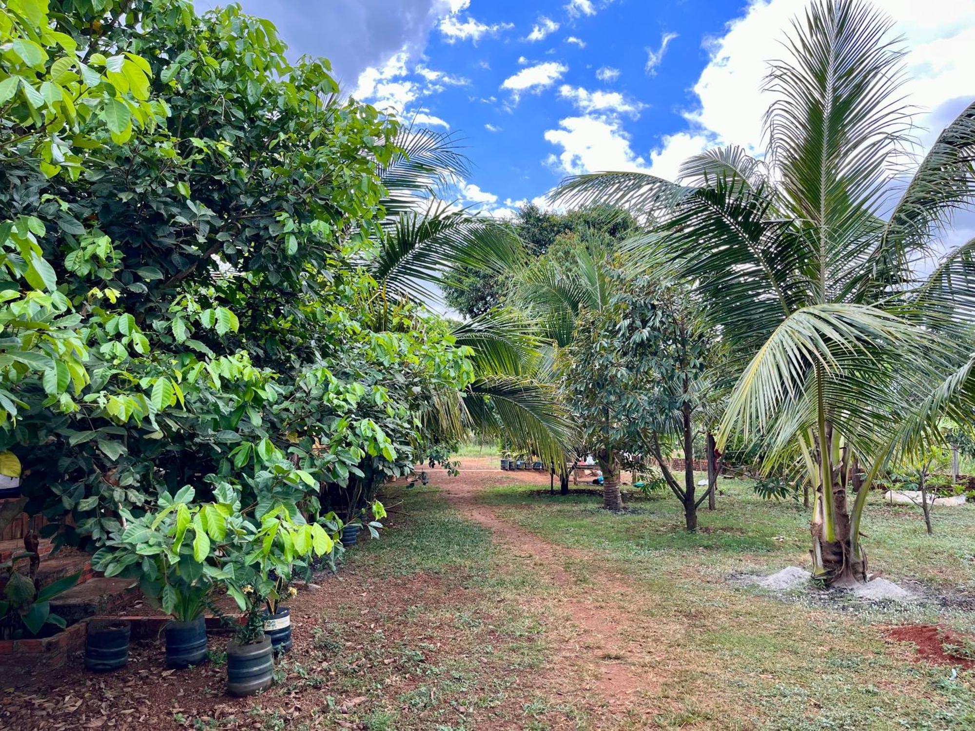 Ratanakiri Farmhouse & Trekking バンラング エクステリア 写真