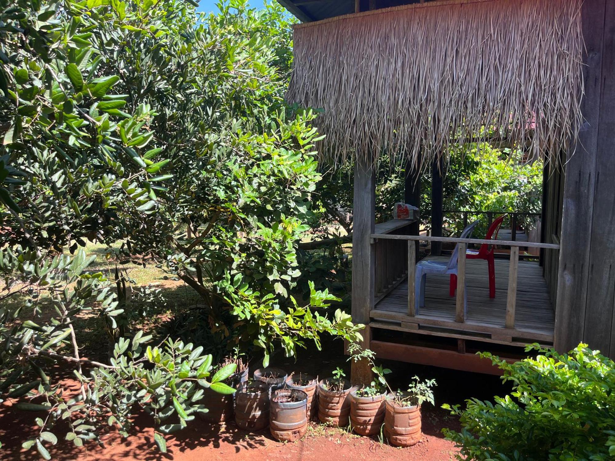 Ratanakiri Farmhouse & Trekking バンラング エクステリア 写真
