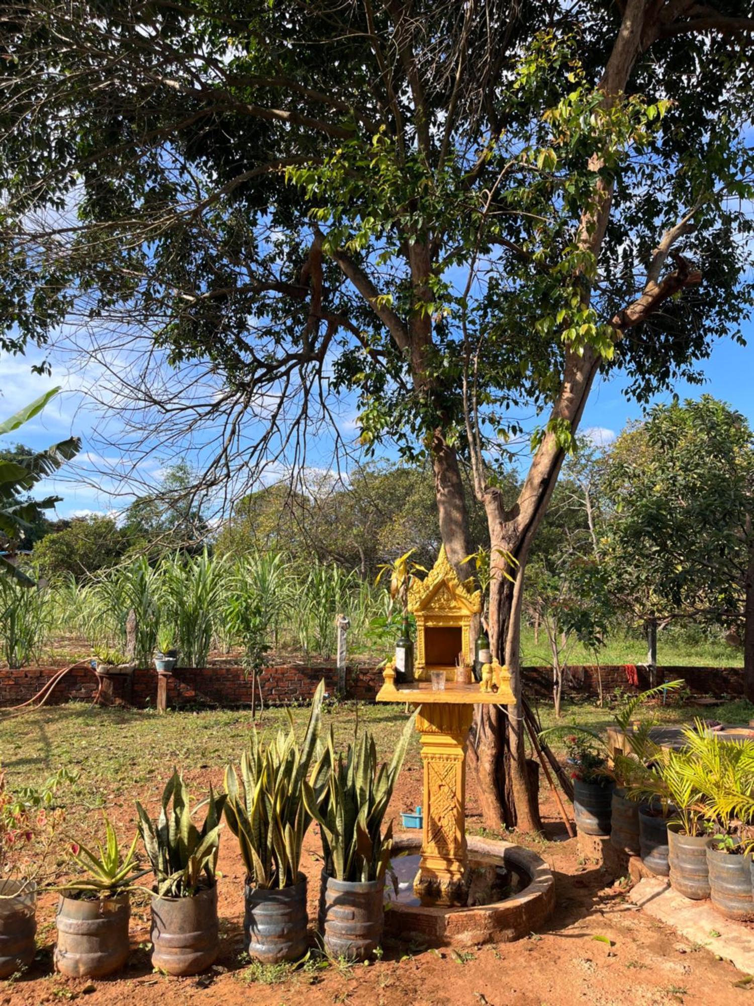 Ratanakiri Farmhouse & Trekking バンラング エクステリア 写真