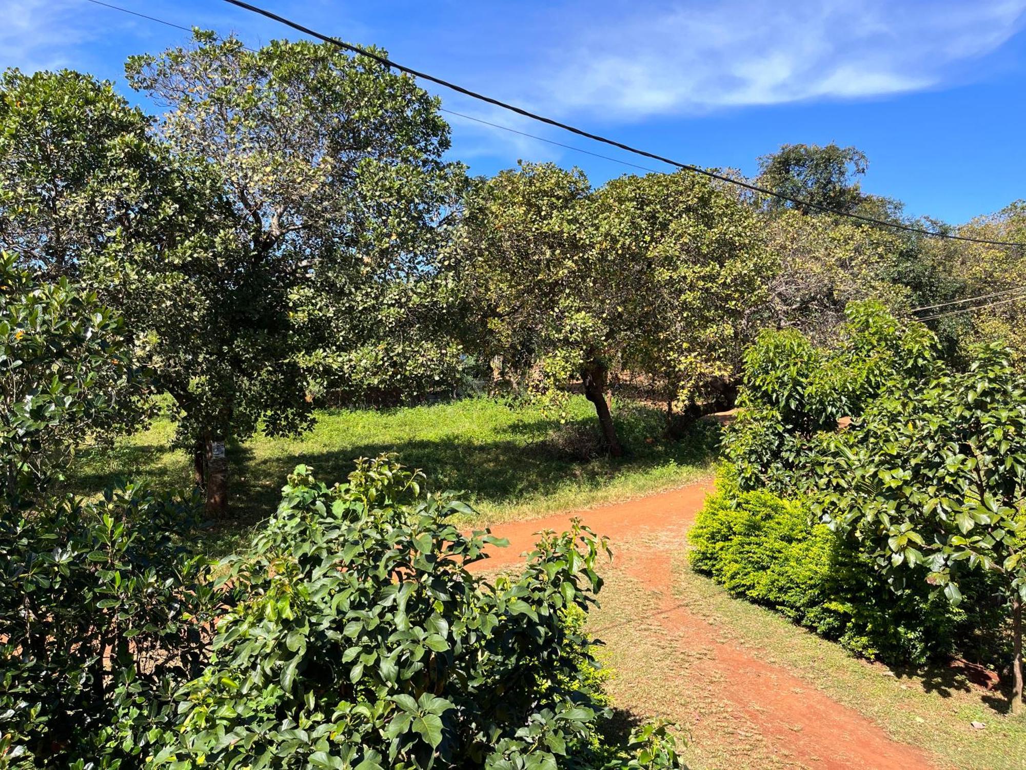 Ratanakiri Farmhouse & Trekking バンラング エクステリア 写真